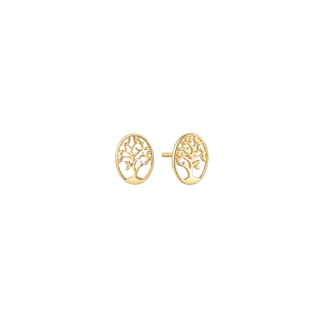 Earrings 5mm hemisphere in 8 kt. gold (333)