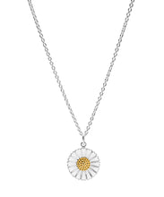 Load image into Gallery viewer, Daisy necklace 18 mm flower on anchor chain 42-45-48 cm (925)
