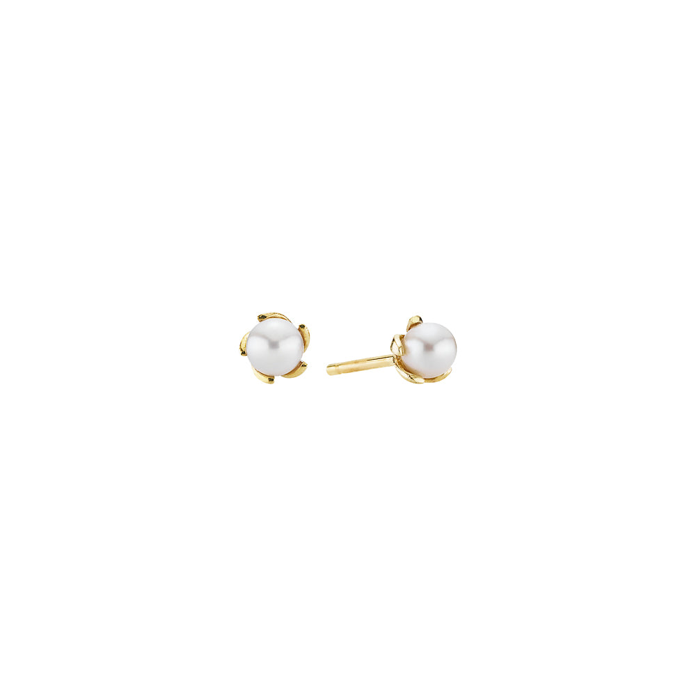 Lund Cph, ear studs with pearl in 14 kt. gold (585)